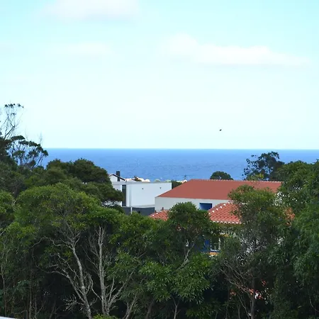 Adega Mendes 팜스테이 Porto Martins